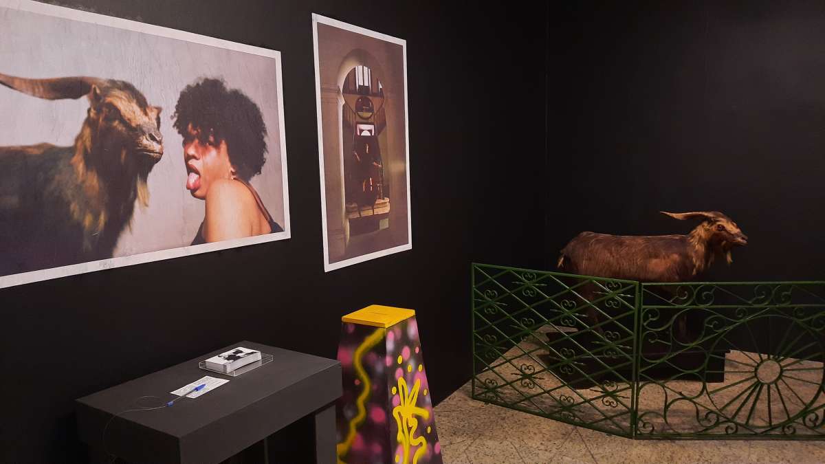 Confira a agenda do Centro Dragão do Mar para o final de semana - Secretaria da Cultura - Secult-CE (.gov)