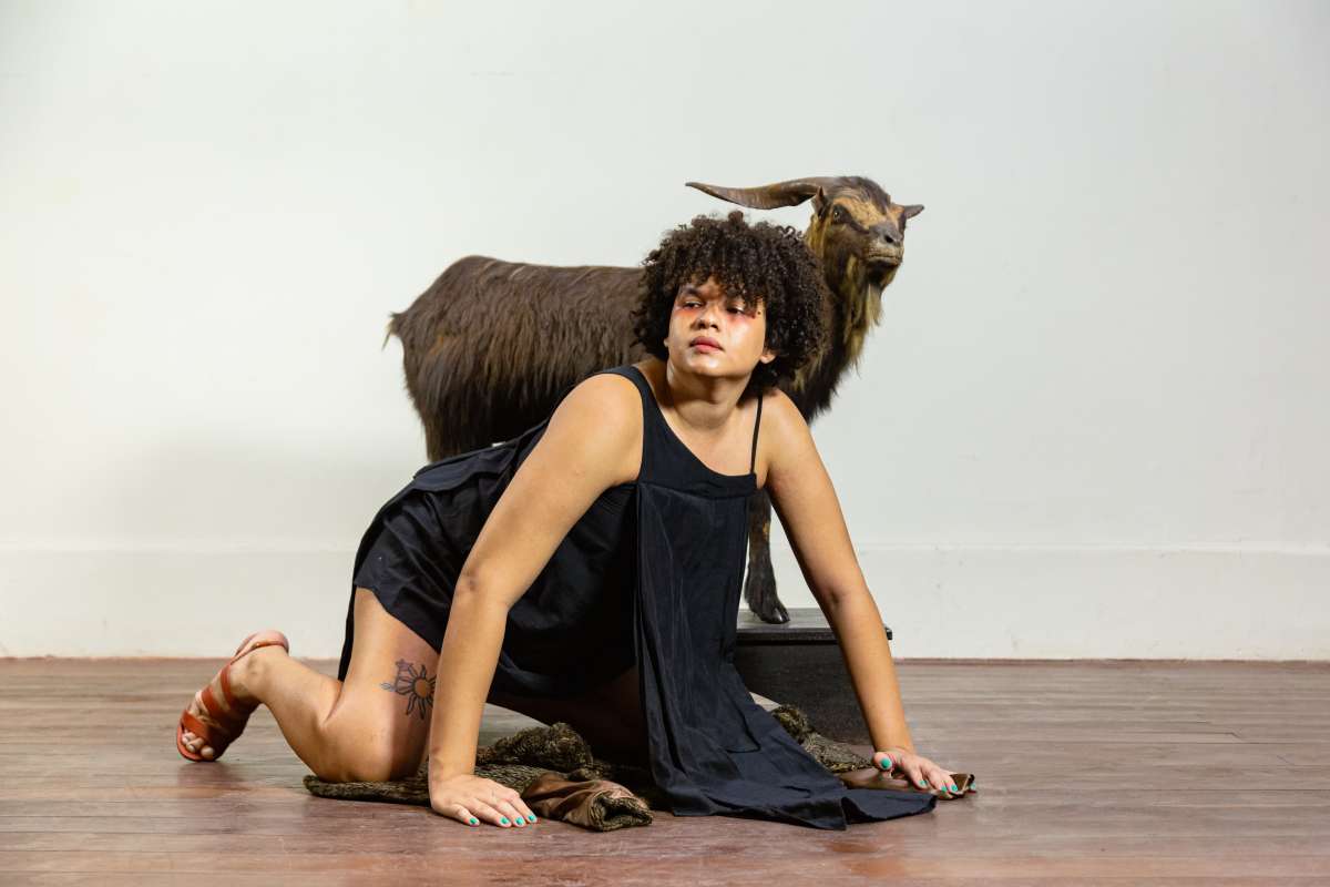 Museus do Dragão do Mar abrem itinerância do Bode Ioiô pela Rede de Equipamentos da Secult Ceará - Secretaria da Cultura - Secult-CE (.gov)