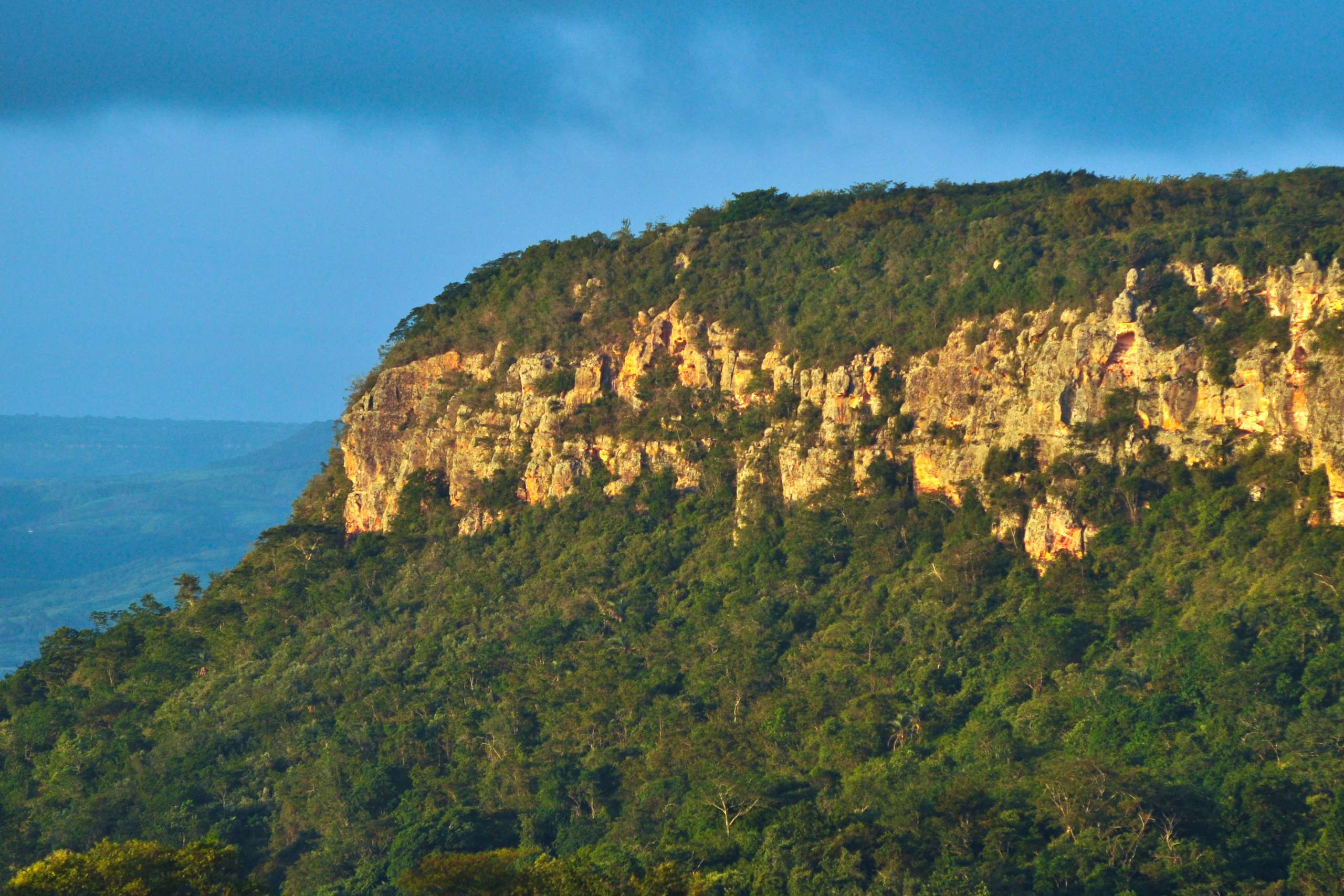 Secult Ceará realiza Seminário “Chapada do Araripe Patrimônio da Humanidade” nesta terça (7)